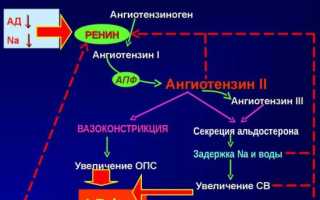 Гепаторенальный синдром при циррозе печени это