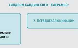 Синдром кандинского клерамбо в психиатрии