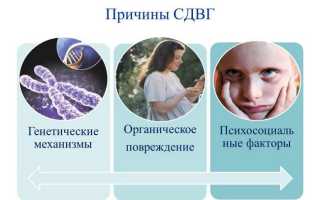 Синдром гипервозбудимости с дефицитом внимания