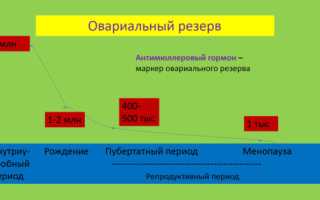 Эко при синдроме истощенных яичников