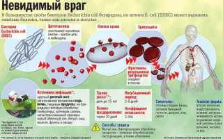 Кишечные синдромы при кишечных инфекциях
