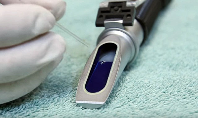 Для исследования можно взять жидкость со рта животных 