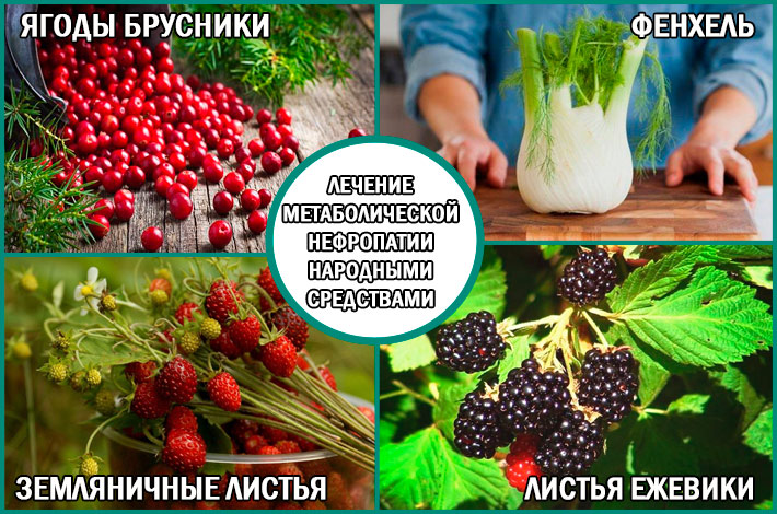 Метаболическая нефропатия: лечение народными средствами