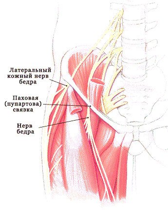 Повреждение нервов при болезни Рота