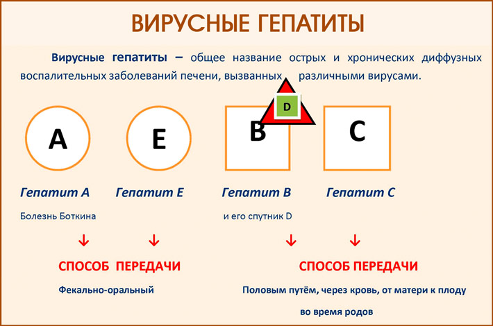 Гепатиты вирусной природы