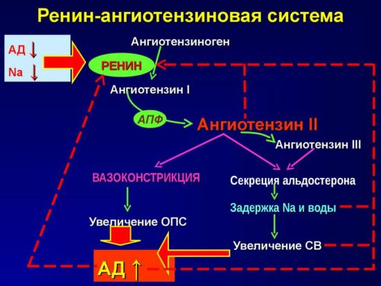 РАГС