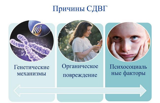 Причины СДВГ