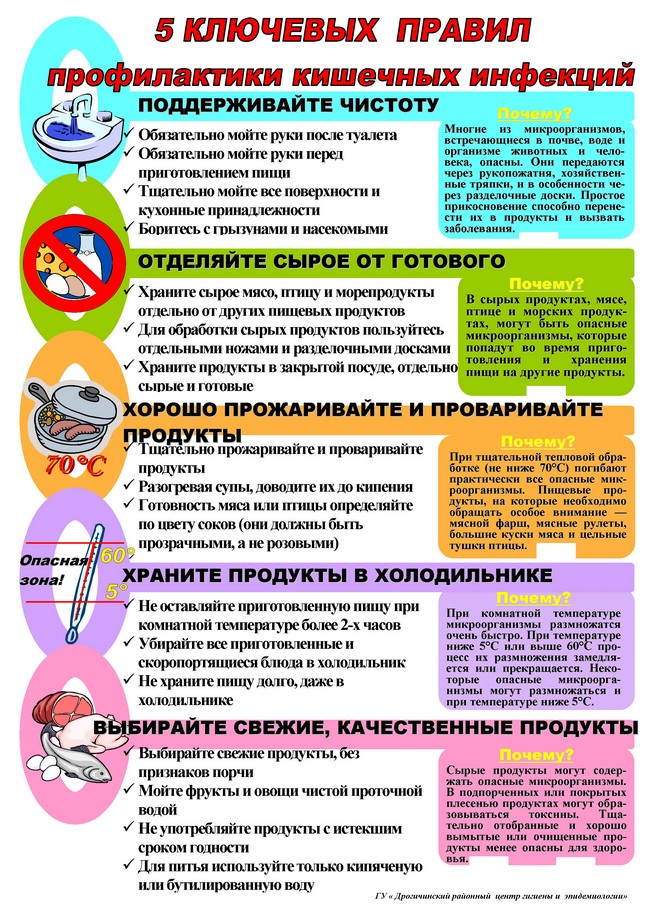 Профилактика кишечных инфекций