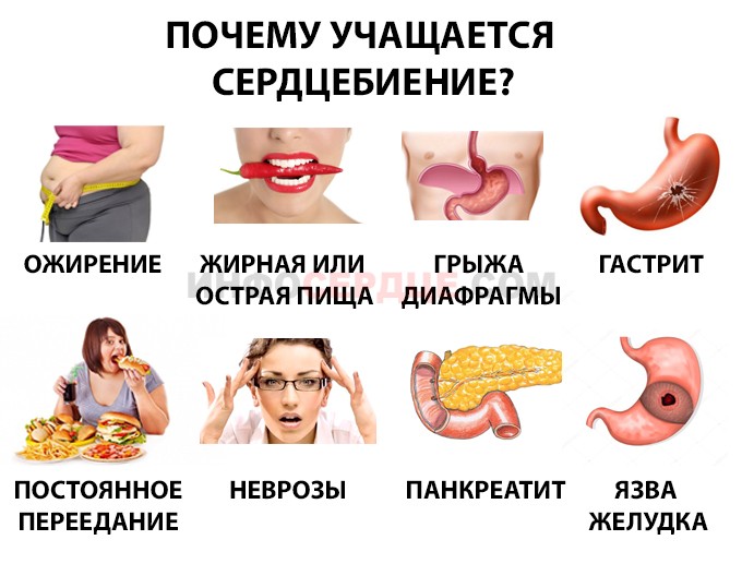 почему учащается сердцебиение