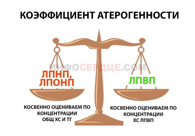 Коэффицент атерогенности