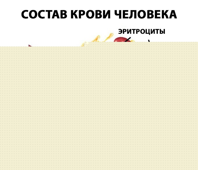 Состав крови человека